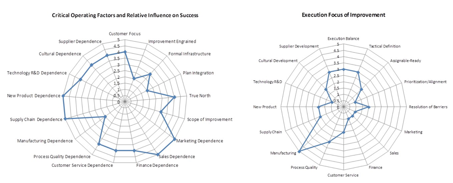 ARTICLE: What's Your Lean Business System Reference Model?