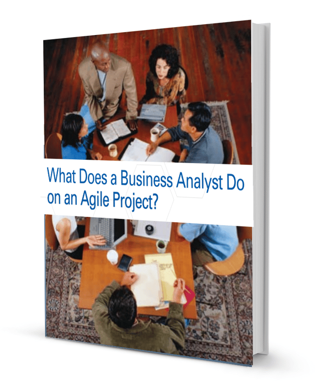 What Does a Business Analyst Do on an Agile Project?