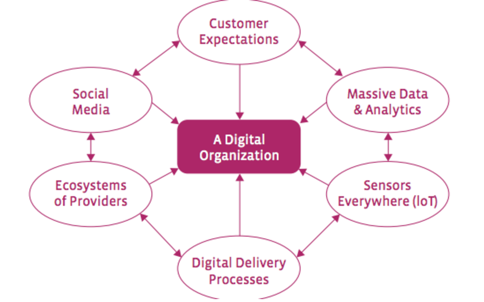 How to Transform Digital Organizations through Business Transformation