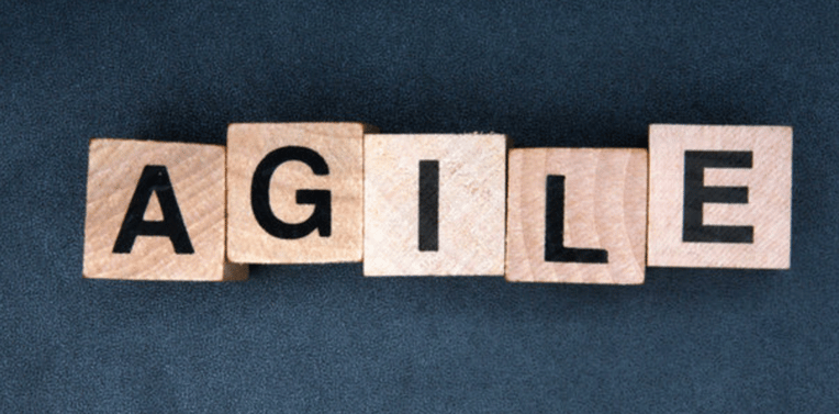 Agile and Agility in Business Transformation