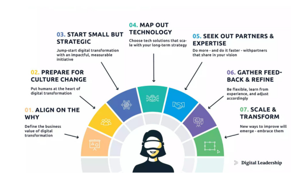 Leading the Way: Strategies for a Successful Digital Transformation